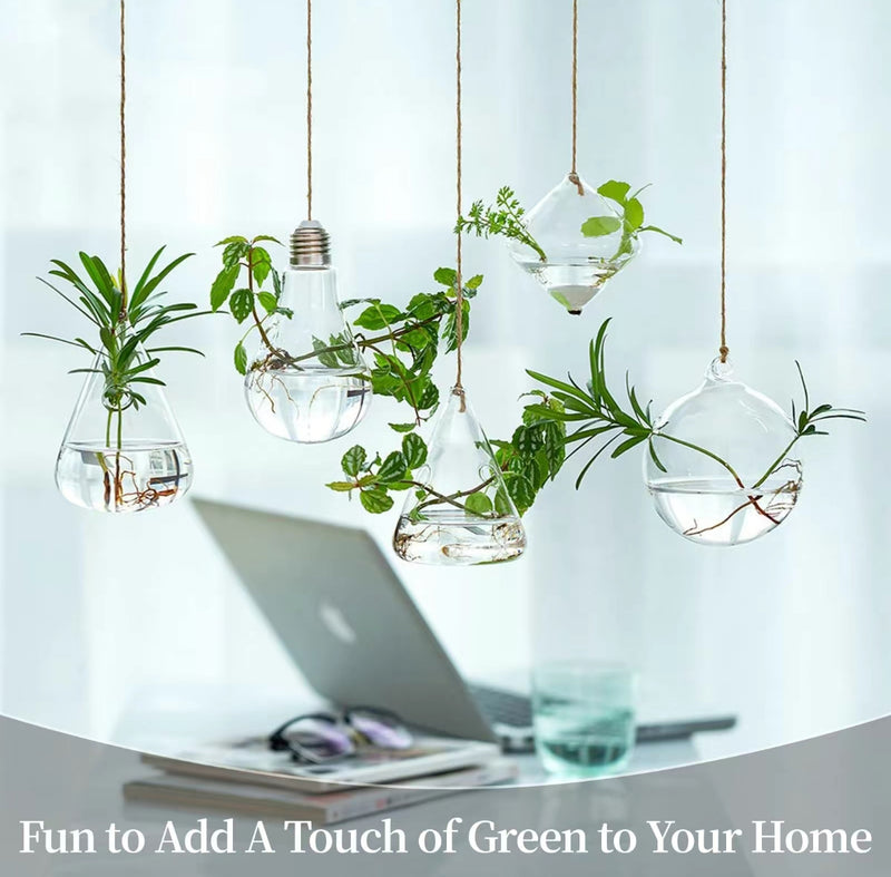 Set of 5 Hanging Glass Planters