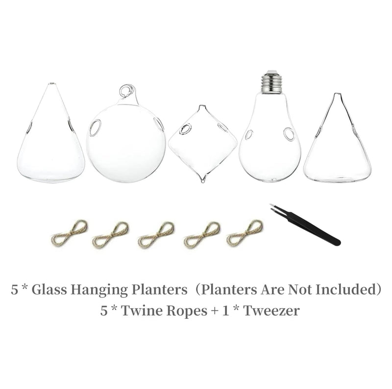 Set of 5 Hanging Glass Planters