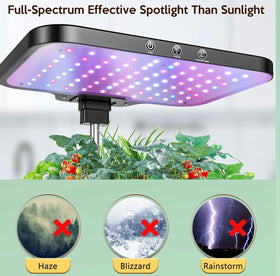 Hydroponic Growing System