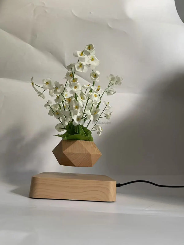 Magnetic Levitating Plant Pot Display