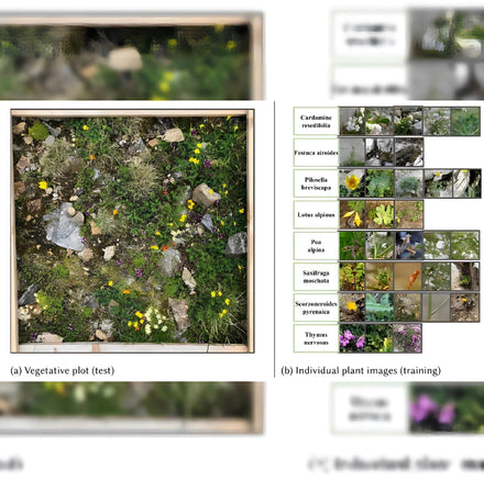 AI-Powered Plant Identification Reaches New Heights with PlantCLEF 2025