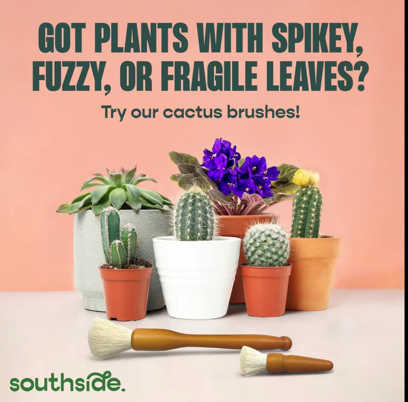 Neem Oil Infused Plant Cleaning Wipes