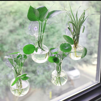 Glass Suction Cup Plant Vases – Set of 4