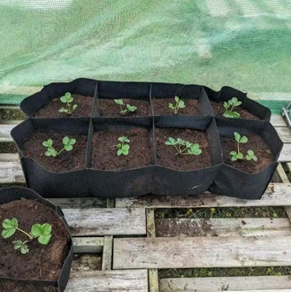 Rectangular Grow Bag Grids
