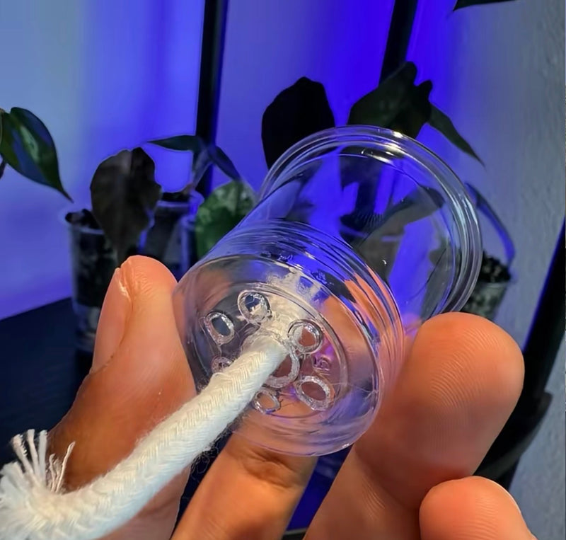 Small Self Watering Seed Starter Cup