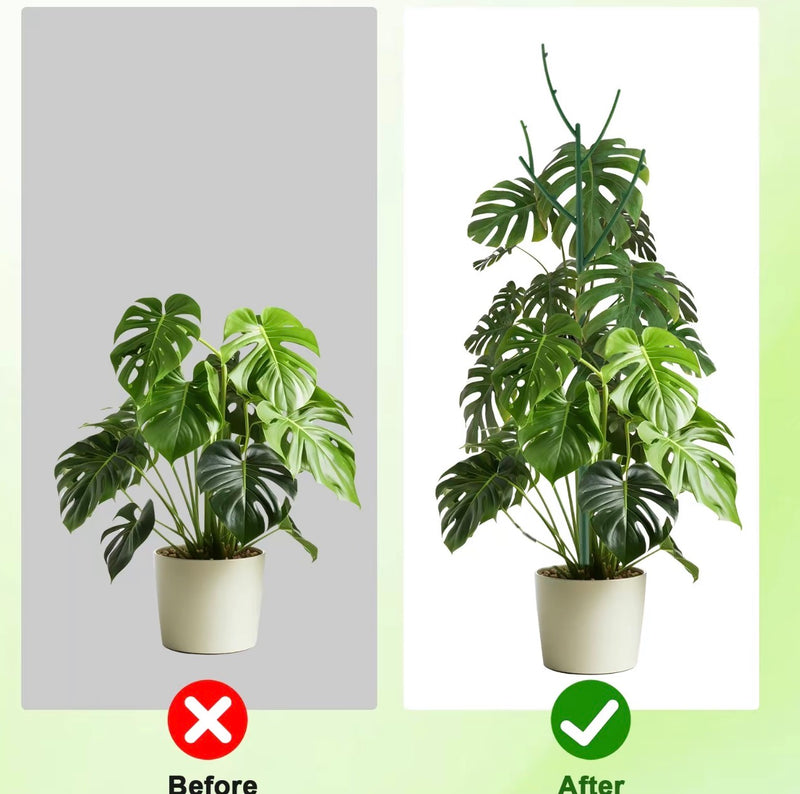 Stackable Monstera Plant Stakes 6PCS