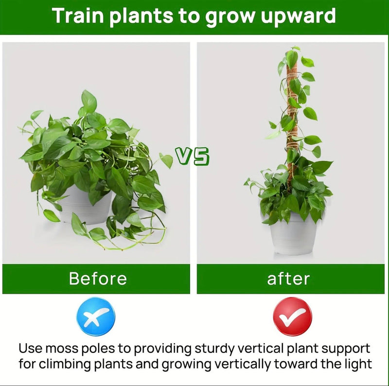 Coconut Shell Moss Poles Set of 2