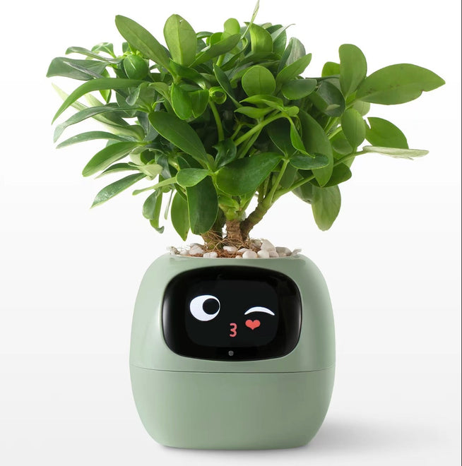 AI Interactive Plant Pot