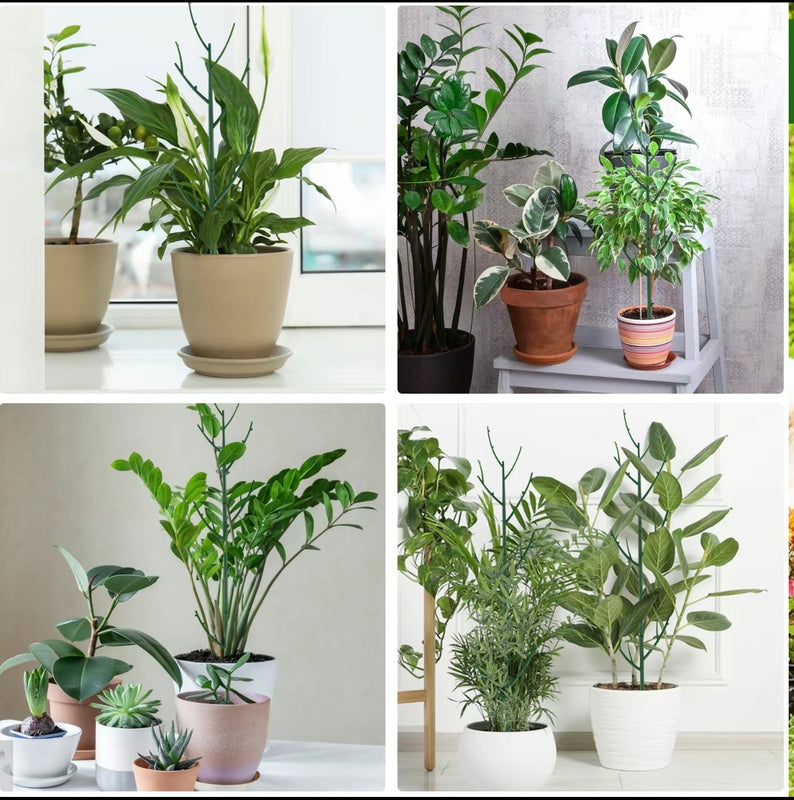 Stackable Monstera Plant Stakes 6PCS