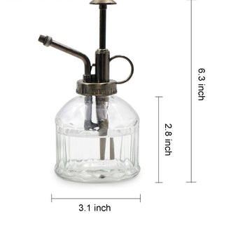 Transparent Glass Watering Spray Bottle Plant Mister