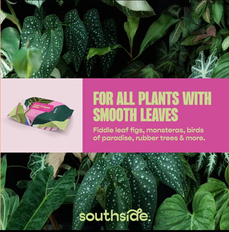 Neem Oil Infused Plant Cleaning Wipes