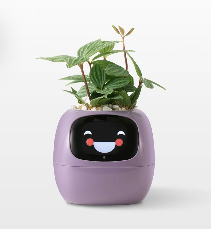 AI Interactive Plant Pot