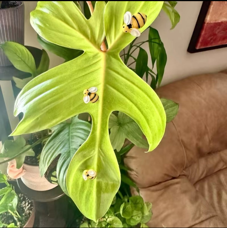 PetalPals Plant Magnets