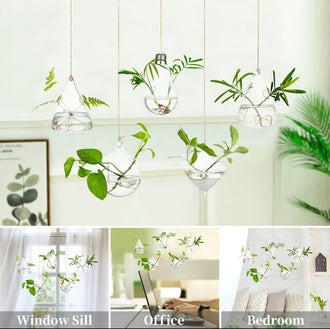 Set of 5 Hanging Glass Planters