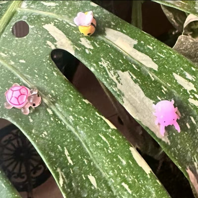 PetalPals Plant Magnets