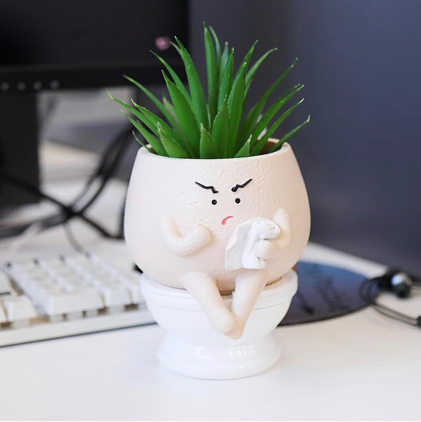 Funny Toilet Self Watering Succulent Planter