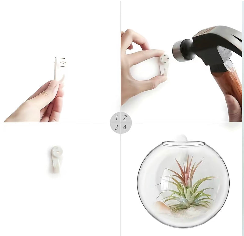 Wall Mounted Glass Planter 2PC