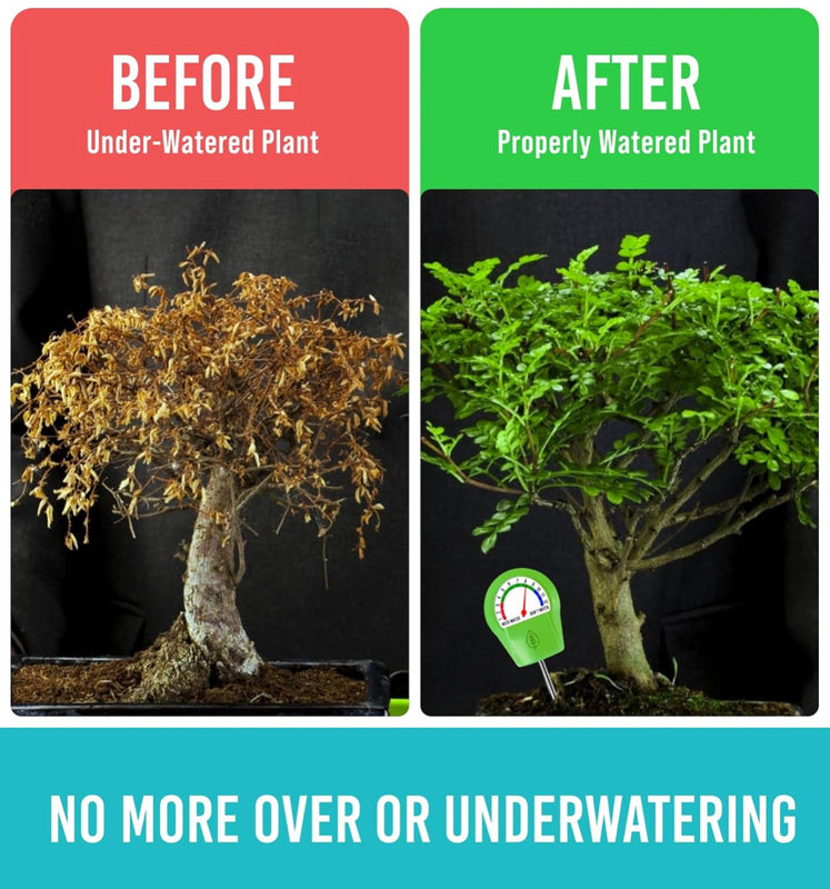 Plant Moisture Meter for Indoor and Outdoor Plants