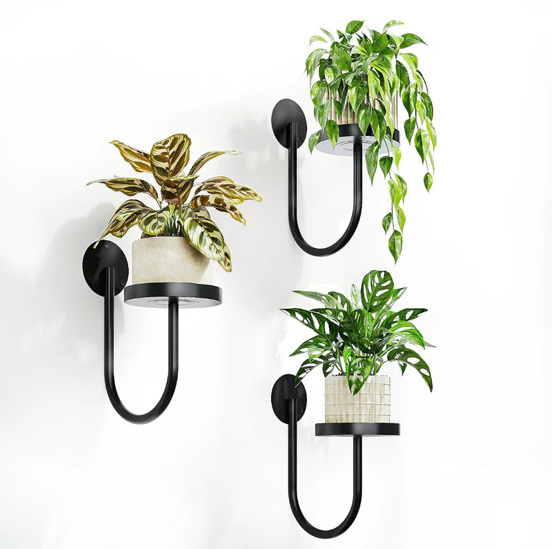 3pcs Wall Mounted Plant Holder Set