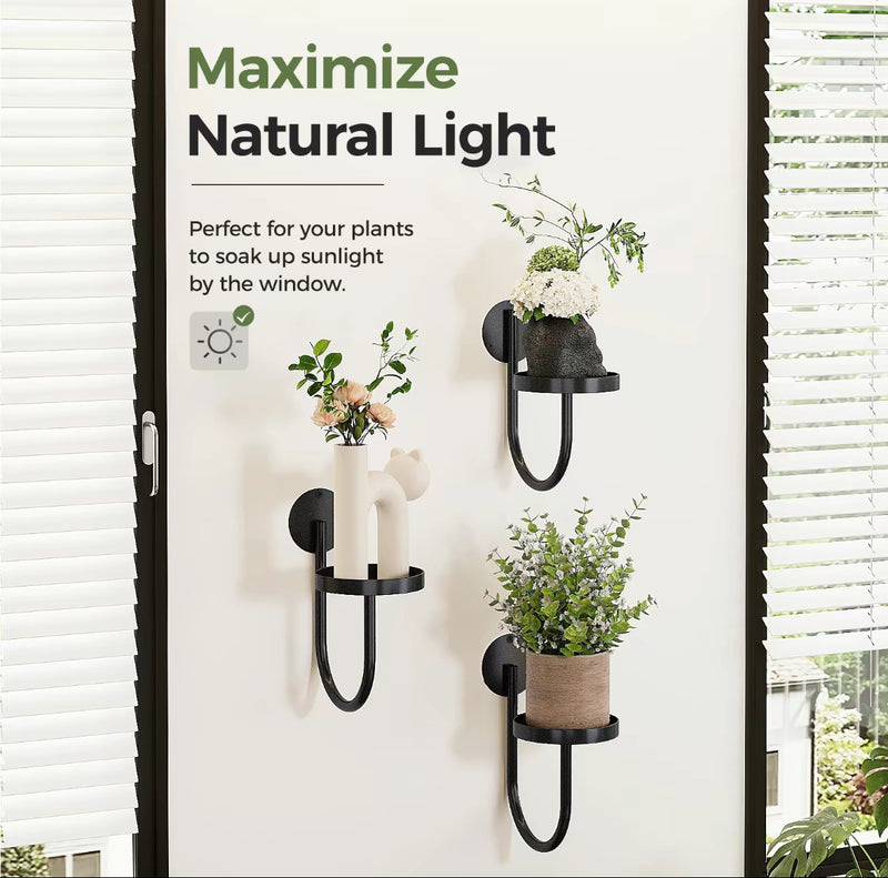 3pcs Wall Mounted Plant Holder Set