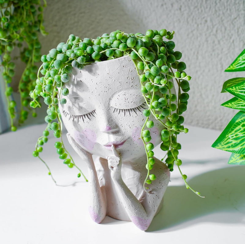 String of Pearls Hanging Succulent Plant