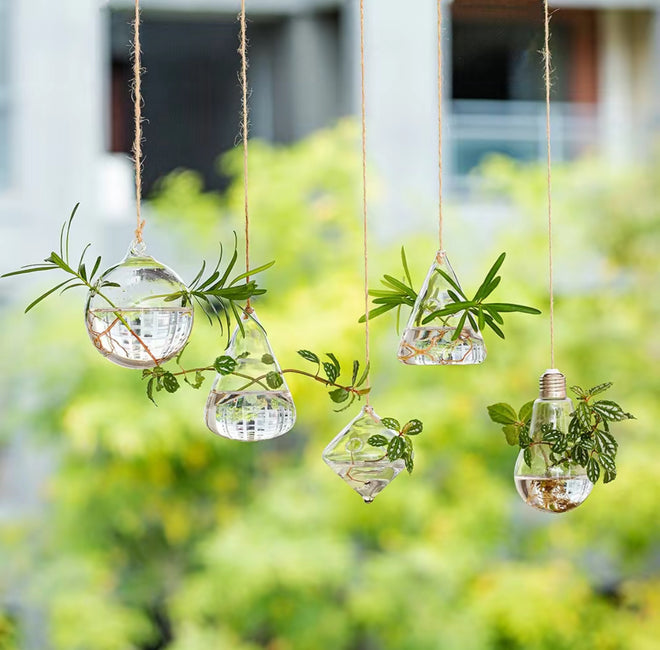 Set of 5 Hanging Glass Planters