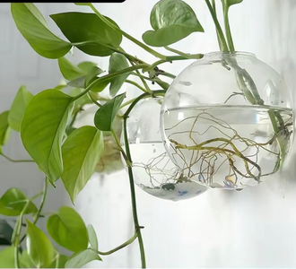 Wall Mounted Glass Planter 2PC