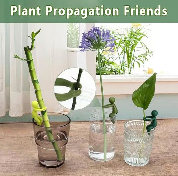 3PCS Plant Propagation Buddy Leaf Supports