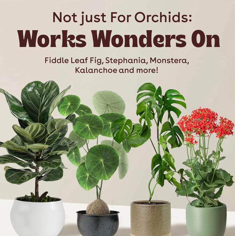 Cloning Paste Professional Plant Propagation Gel