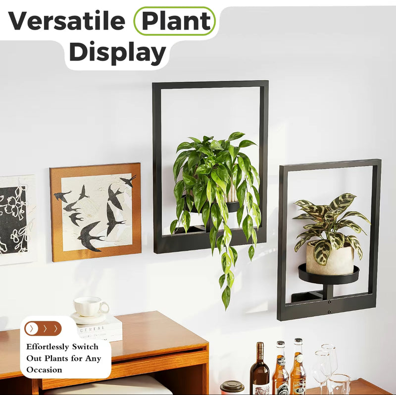 2pcs Wall Mounted Photo Frame Plant Holder
