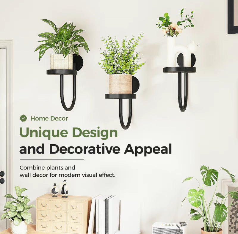 3pcs Wall Mounted Plant Holder Set