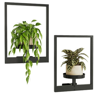2pcs Wall Mounted Photo Frame Plant Holder