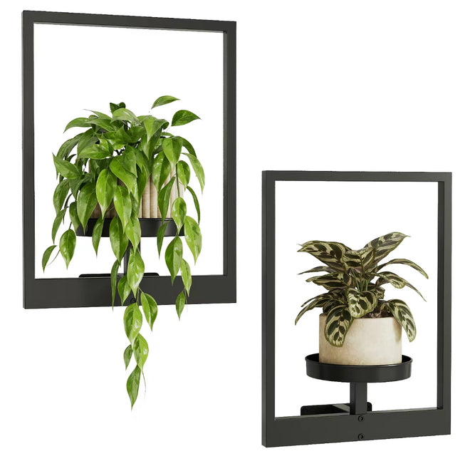 2pcs Wall Mounted Photo Frame Plant Holder