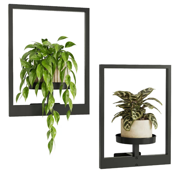 2pcs Wall Mounted Photo Frame Plant Holder