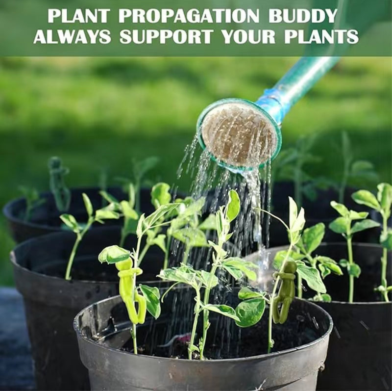 3PCS Plant Propagation Buddy Leaf Supports
