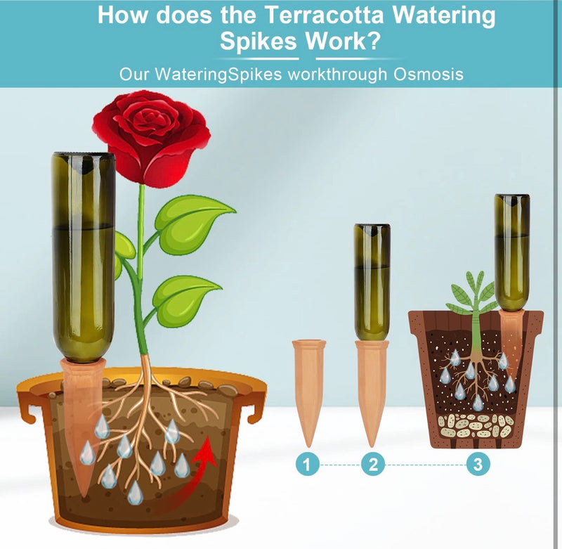 Terracotta Plant Watering Spikes