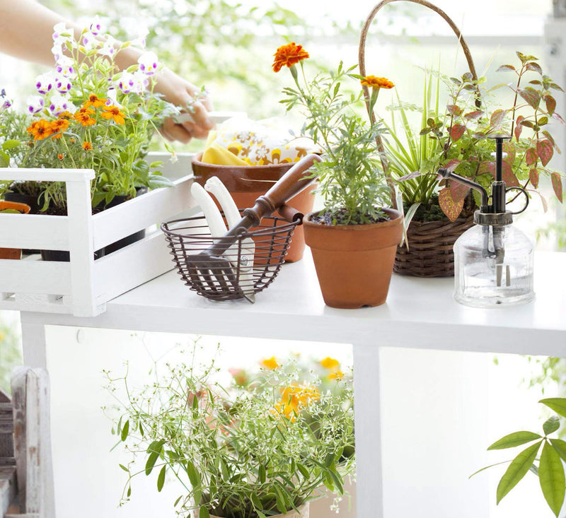 Transparent Glass Watering Spray Bottle Plant Mister