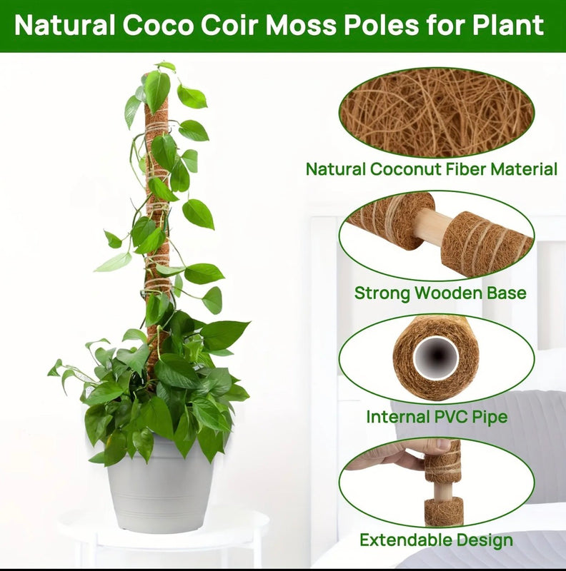 Coconut Shell Moss Poles Set of 2