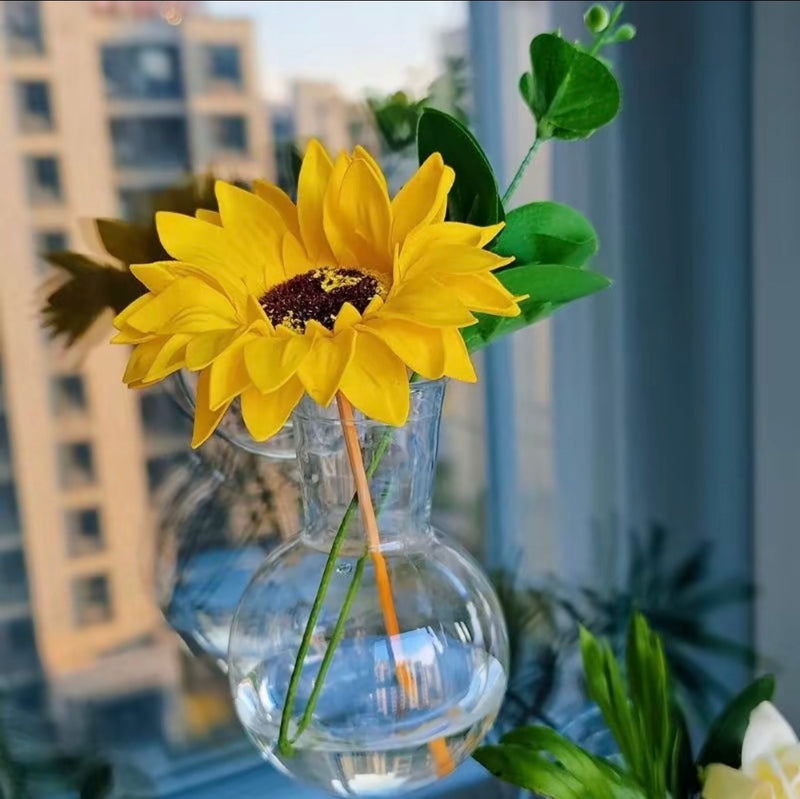 Glass Suction Cup Plant Vases – Set of 4