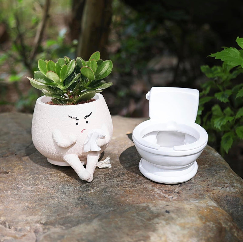 Funny Toilet Self Watering Succulent Planter