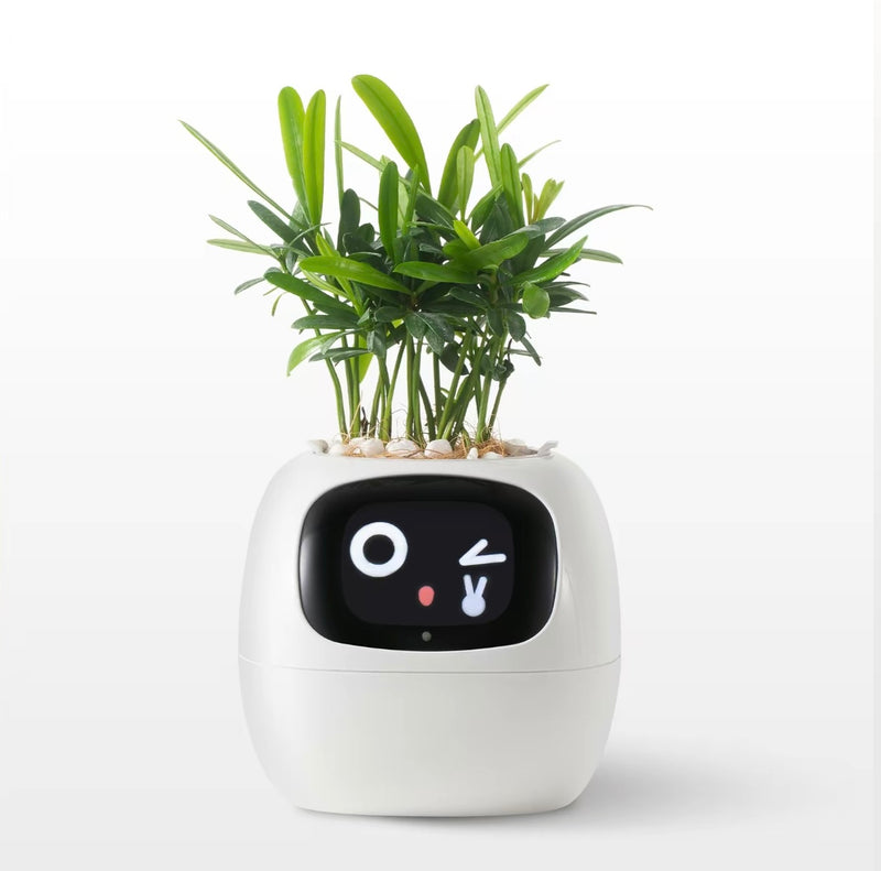 AI Interactive Plant Pot