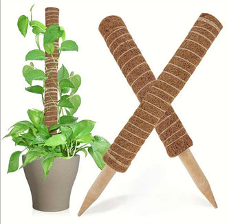 Coconut Shell Moss Poles Set of 2