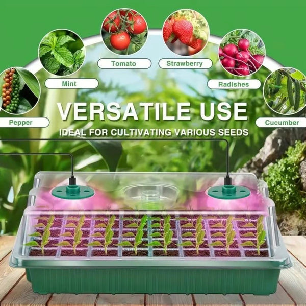 80 Cell Seedling Tray Kit with Grow Light
