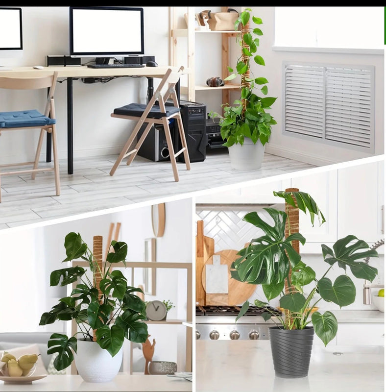 Coconut Shell Moss Poles Set of 2