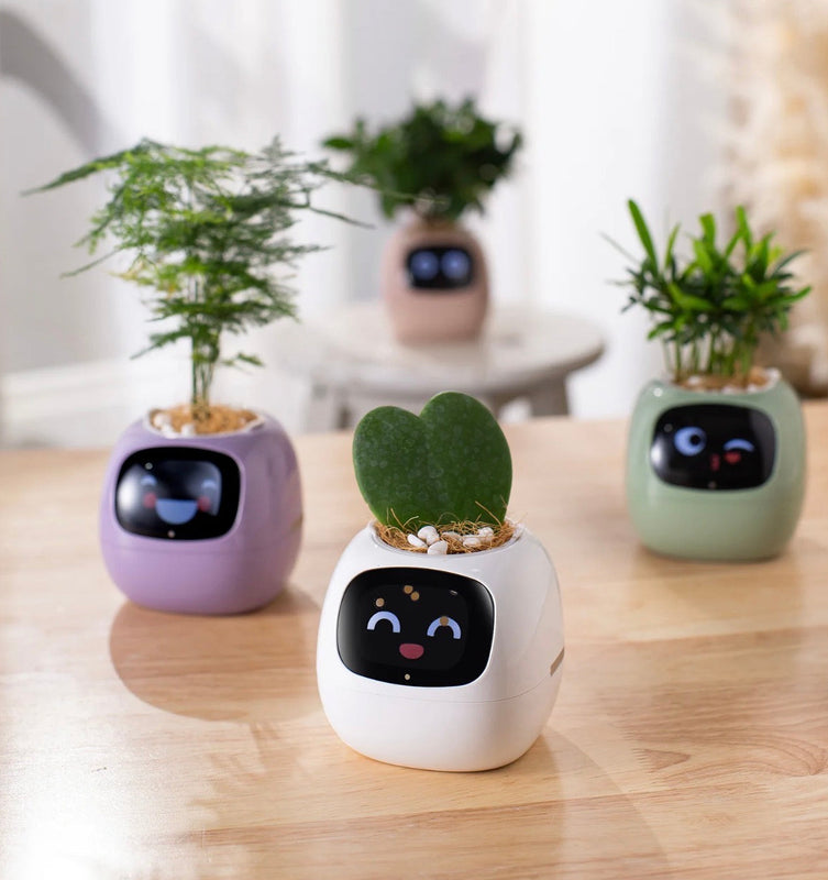 AI Interactive Plant Pot