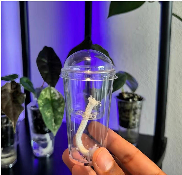 Small Self Watering Seed Starter Cup