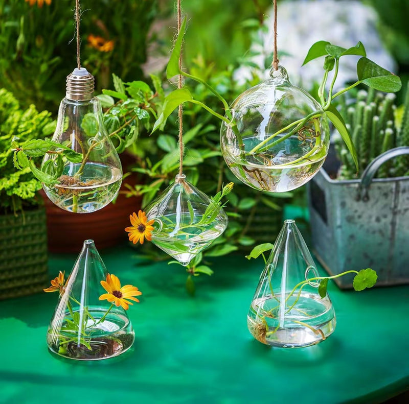 Set of 5 Hanging Glass Planters