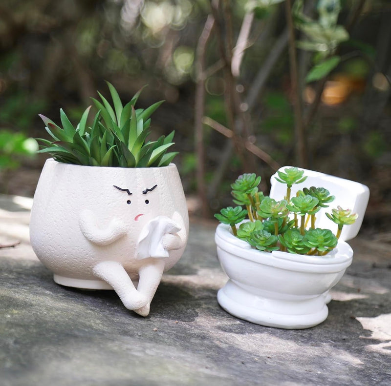 Funny Toilet Self Watering Succulent Planter