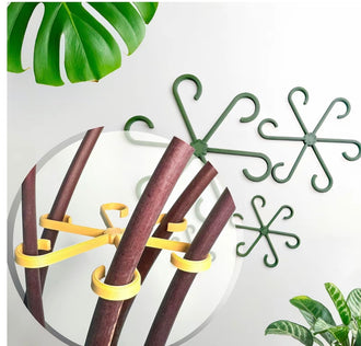 Plant Stem Supports