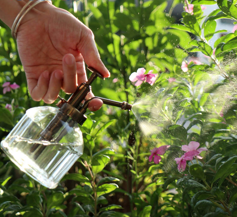 Transparent Glass Watering Spray Bottle Plant Mister